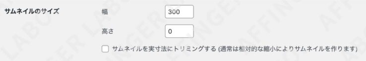 長方形、中サイズのサムネイルのサイズ：幅300、高さ0